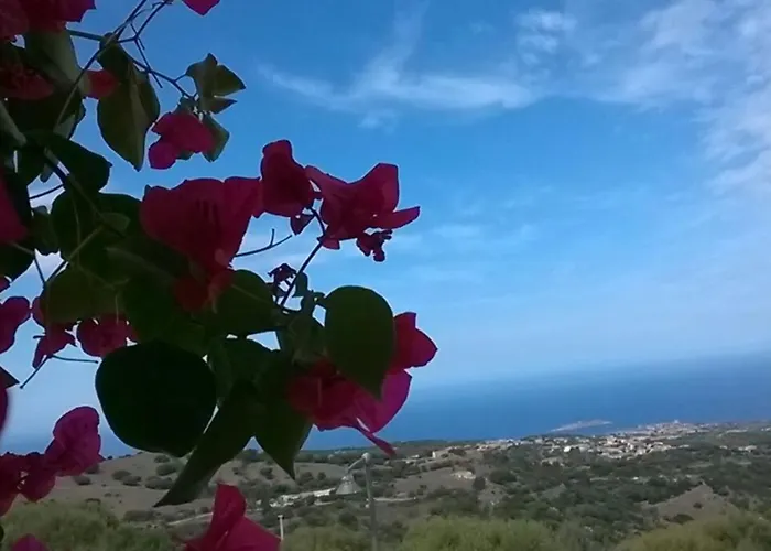 La Frisaia Vista Mare L4 * Isola Rossa (Sassari)